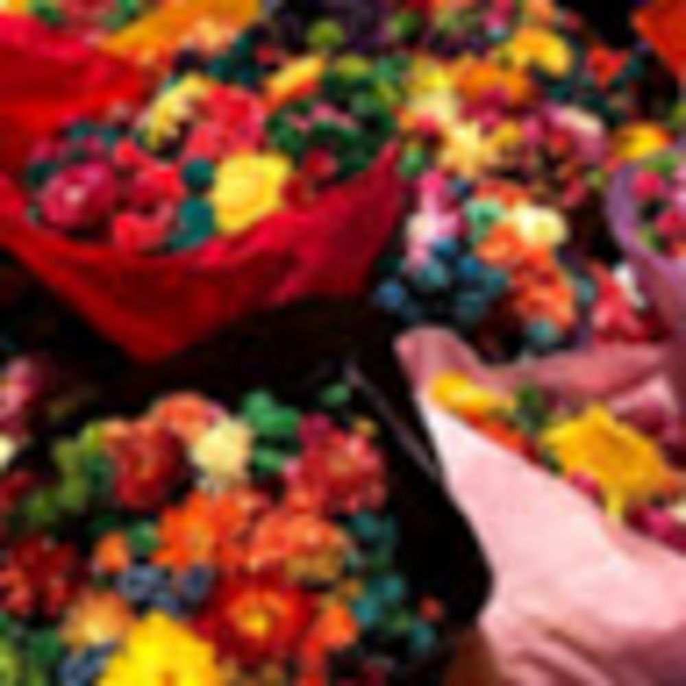 Meet your Posher, Britt